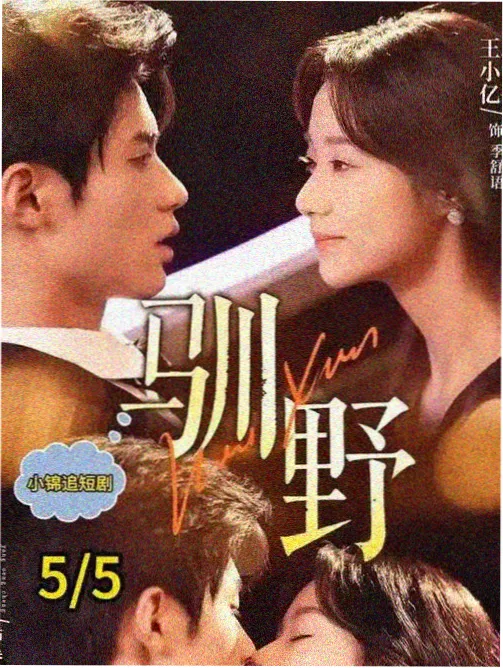 91看视频片单中剧集类条目《旧城候鸟》的封面图
